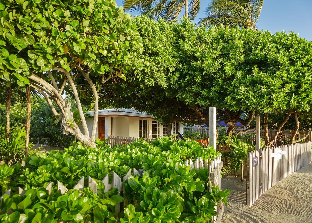 Weezie'S Ocean Front Hotel And Garden Cottages Caye Caulker Exterior photo