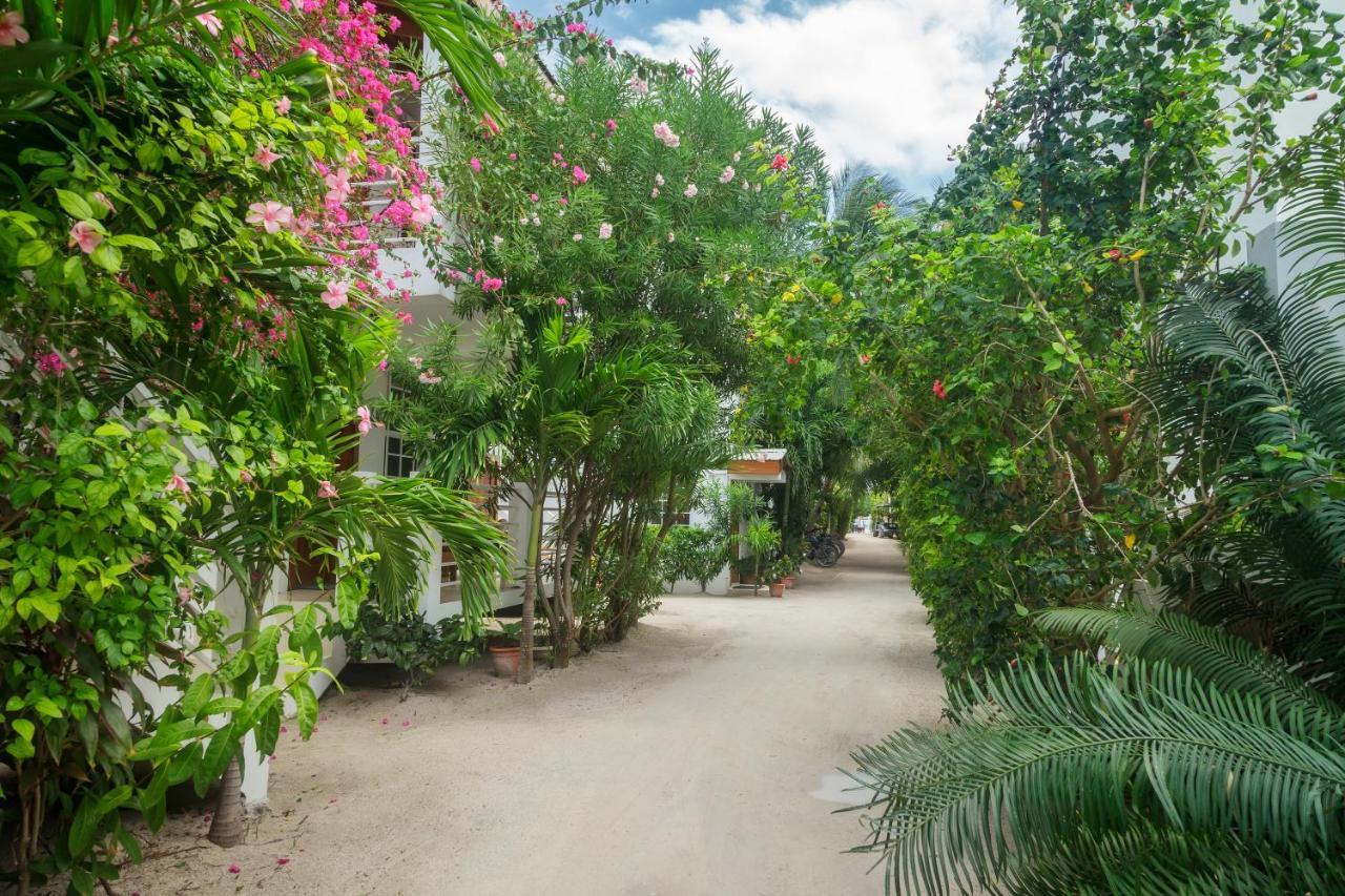 Weezie'S Ocean Front Hotel And Garden Cottages Caye Caulker Exterior photo